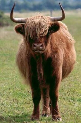 Cover of Shaggy Brown Highland Cow Journal