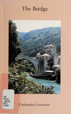 Book cover for The Bridge