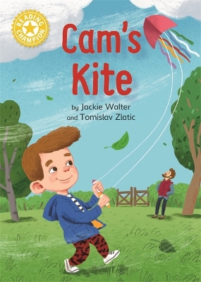 Book cover for Cam's Kite