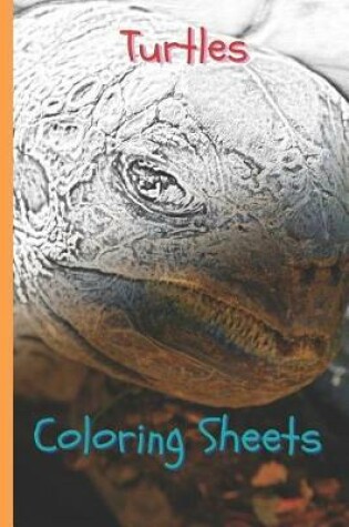 Cover of Turtles Coloring Sheets