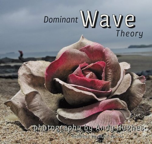 Book cover for Dominant Wave Theory
