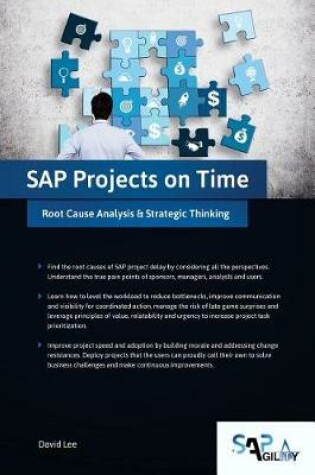 Cover of SAP Projects on Time