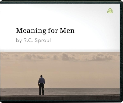 Book cover for Meaning for Men