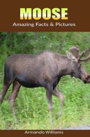 Cover of Moose