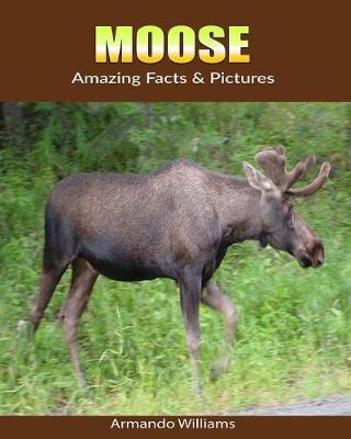 Book cover for Moose