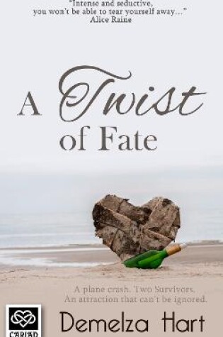 Cover of A Twist of Fate