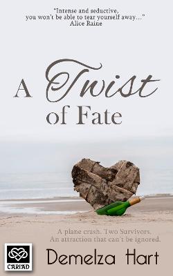 Book cover for A Twist of Fate