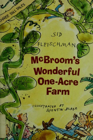 Cover of MC Broom's Wonderful