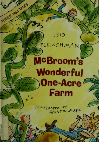 Book cover for MC Broom's Wonderful