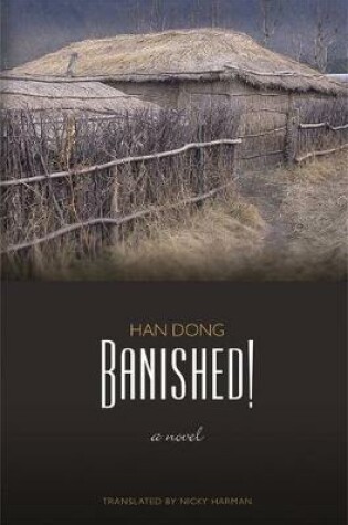 Cover of Banished!