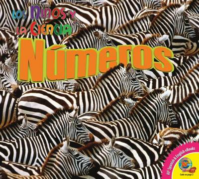 Book cover for Numeros