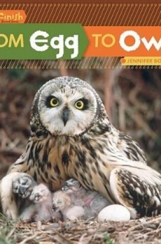 Cover of From Egg to Owl