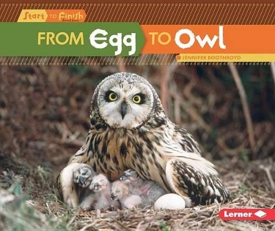Book cover for From Egg to Owl