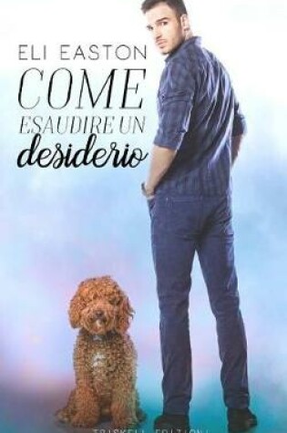 Cover of Come Esaudire Un Desiderio