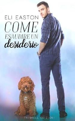 Book cover for Come Esaudire Un Desiderio