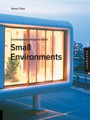 Book cover for Small Environments