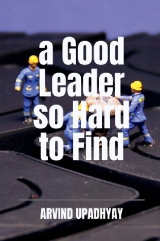 Cover of A Good Leader so Hard to Find