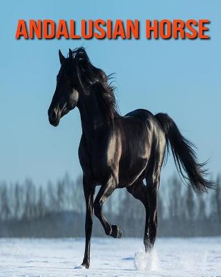 Book cover for Andalusian Horse