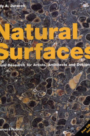 Cover of Natural Surfaces:Visual Research for Artists, Architects and Desi