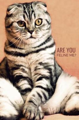 Book cover for Are You Feline Me?