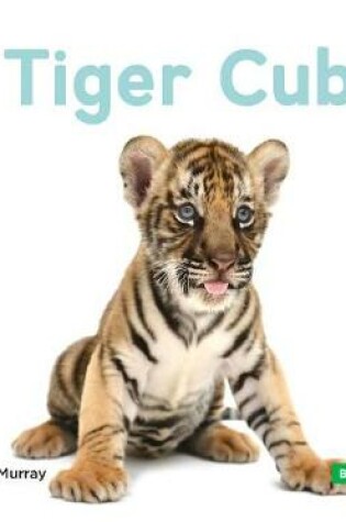 Cover of Tiger Cubs