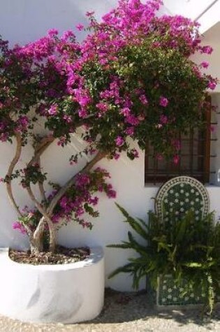 Cover of Plants in a Sunny Spanish Courtyard Journal