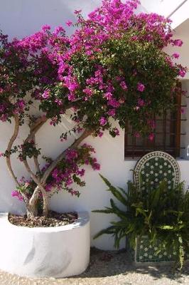 Book cover for Plants in a Sunny Spanish Courtyard Journal