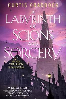 Book cover for A Labyrinth of Scions and Sorcery