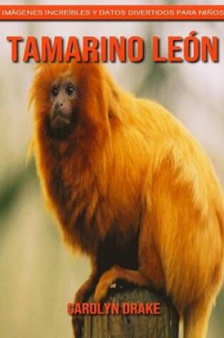 Cover of Tamarino león