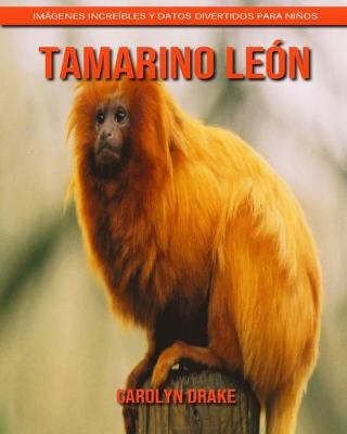 Book cover for Tamarino león