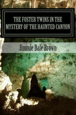 Cover of The Foster Twins in the Mystery of the Haunted Canyon