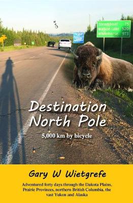 Book cover for Destination North Pole