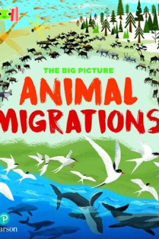 Cover of Bug Club Reading Corner: Age 7-11: The Big Picture: Animal Migrations