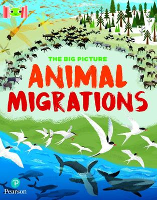 Book cover for Bug Club Reading Corner: Age 7-11: The Big Picture: Animal Migrations