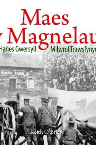 Cover of Cyfres Celc Cymru: Maes y Magnelau - Hanes Gwersyll Milwrol Trawsfynydd