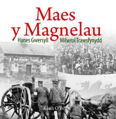 Book cover for Cyfres Celc Cymru: Maes y Magnelau - Hanes Gwersyll Milwrol Trawsfynydd