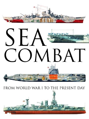 Book cover for Sea Combat