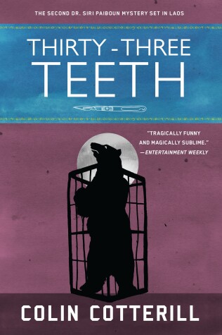 Book cover for Thirty-Three Teeth