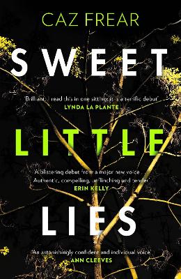 Book cover for Sweet Little Lies