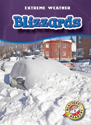 Book cover for Blizzards