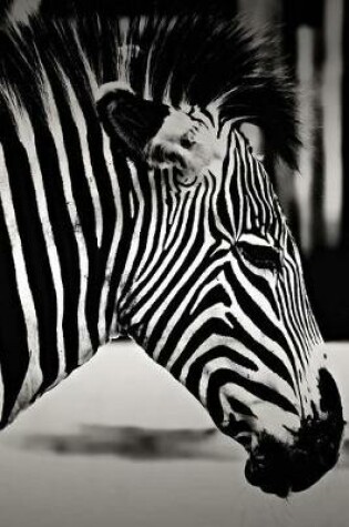 Cover of Zebra