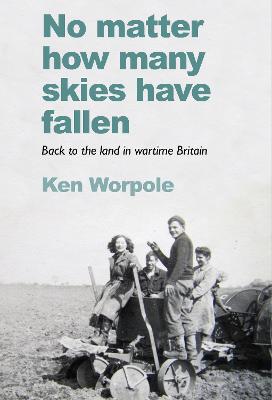 Book cover for No Matter How Many Skies Have Fallen