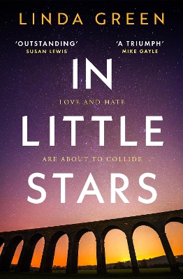 Book cover for In Little Stars