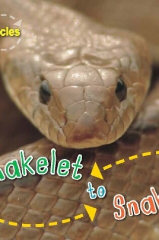 Cover of Snakelet to Snake