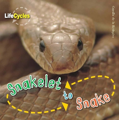 Book cover for Snakelet to Snake