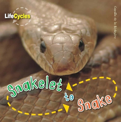 Cover of Snakelet to Snake