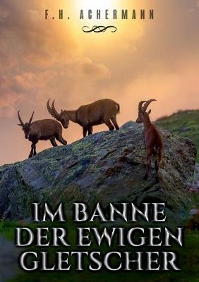 Book cover for Im Banne der ewigen Gletscher