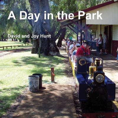 Book cover for A Day in the Park