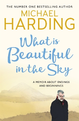 Book cover for What is Beautiful in the Sky