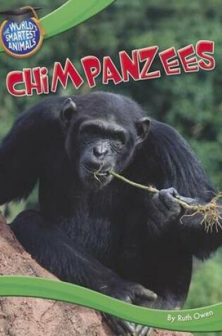 Cover of World's Smartest Animals, The: Chimpanzees